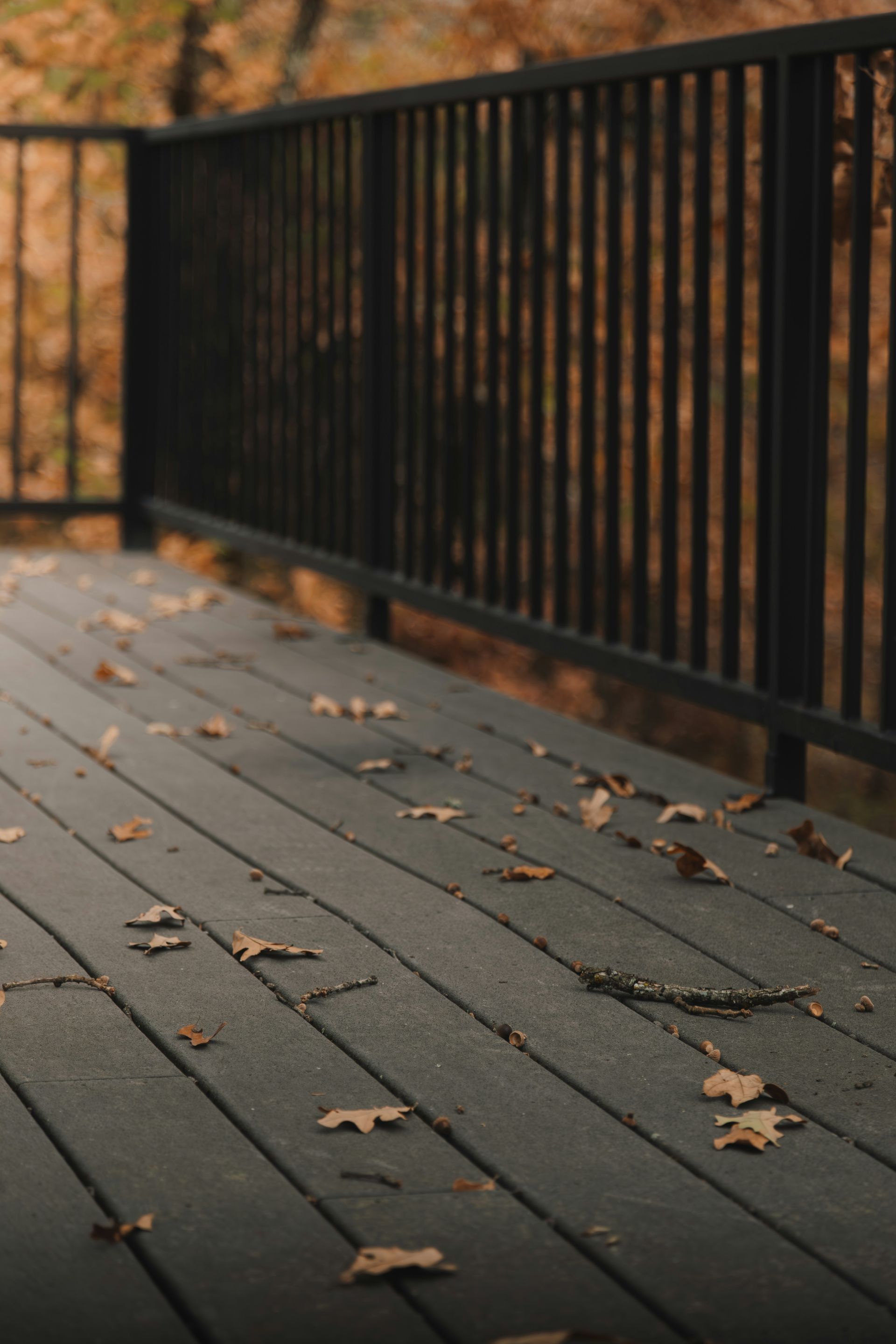 A dog standing on a deck with leaves on the ground